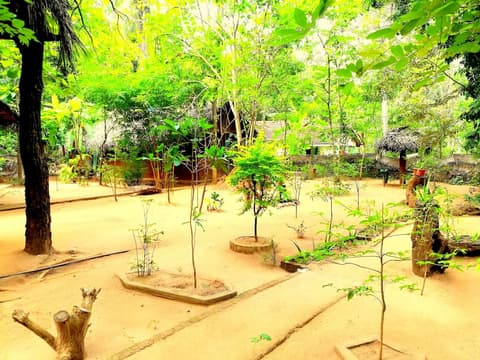 Sisira Natural Lodge, Property grounds