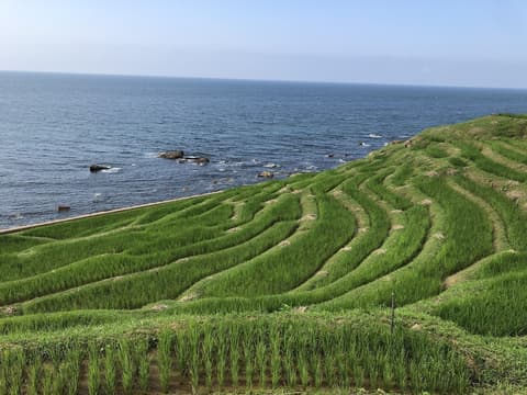 Kanazawa Guesthouse Stella - Hostel, Point of interest