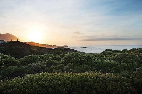 One Marine Drive Boutique Hotel, Terrace/patio