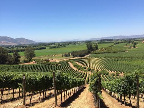 Noi Blend Colchagua, Property grounds