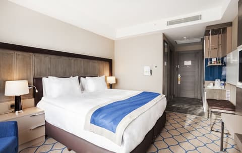 Holiday Inn Kayseri - Duvenonu by IHG, Room