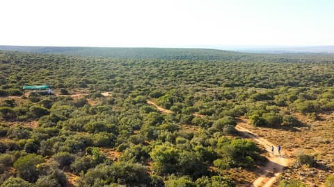 Kudu Ridge Game Lodge, Property grounds
