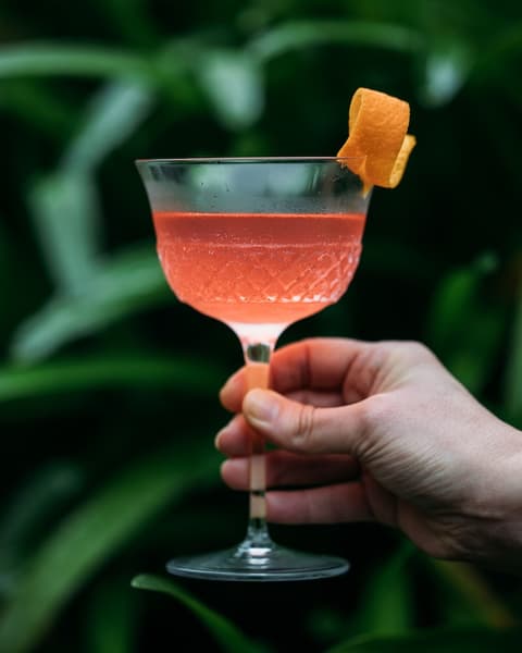 Hotel Meudon, Food and drink