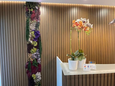 Piazza Mulino 26, Reception