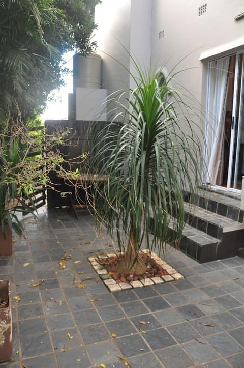 268 On Ridge Guesthouse, Balcony