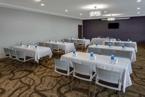 Microtel Inn & Suites by Wyndham Niagara Falls, Meeting facility