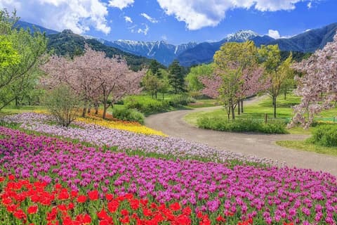 Hotel Trend Matsumoto, Point of interest