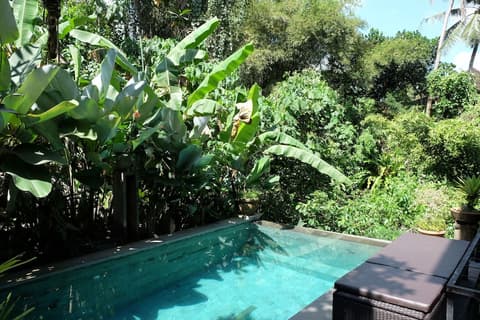 Suastika Bed and Breakfast, Pool