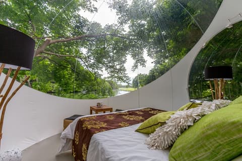 Bubble Lodge Bois Chéri, Room