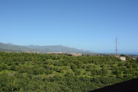 Villa San Leonardo, View from room