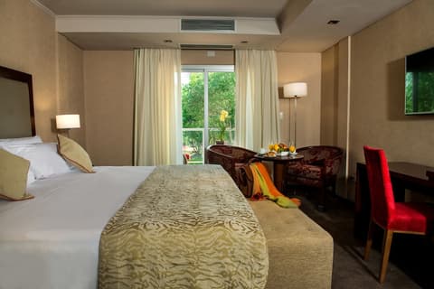 Falls Iguazú Hotel & Spa, Room