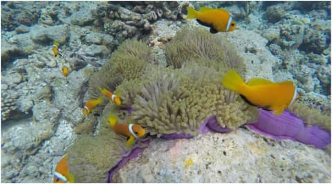 Salt Beach Hotel, Sports facility