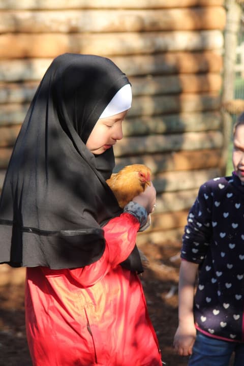 Pump Hill Farm Cottages, Children's activities