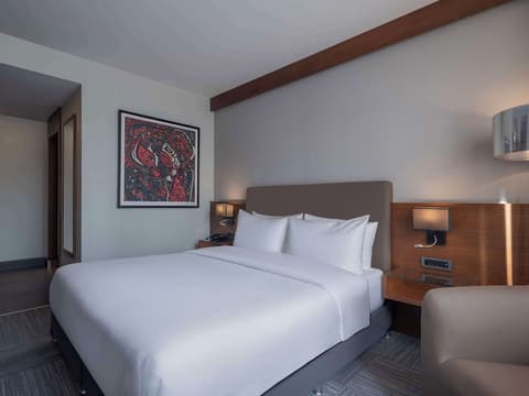Radisson Blu Hotel Ankara Cankaya, Room