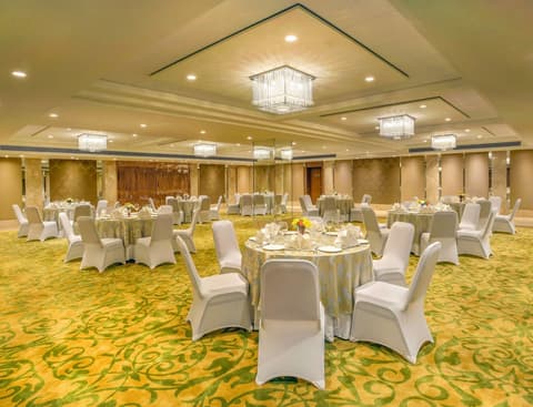 Deventure Sarovar Portico Kapashera, Ballroom