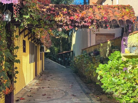 Petit Hotel Provence Gramado Tissiani, Terrace/patio