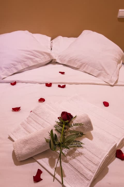 Hotel Toulousain, Room