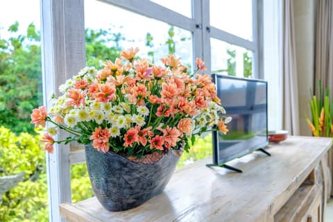 BoHo Bingin Beach, Living room