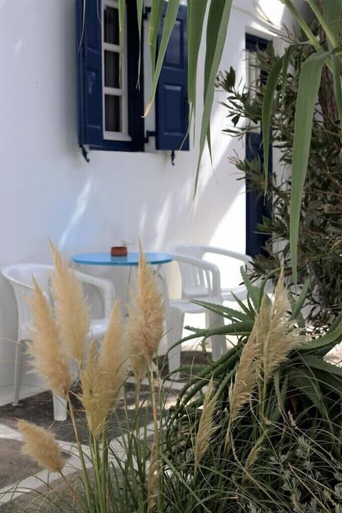 Aphrodite Garden Studios & Olympia Annex, Property grounds