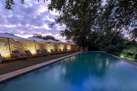 Karongwe - Becks Safari Lodge, Infinity pool