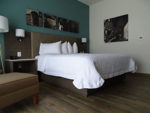Hampton Inn Celaya Mexico, Room