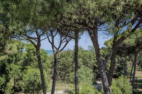 Hotel Stella del Mare, Room
