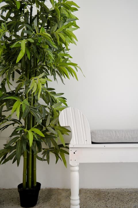 Hotel Casa Bella, Living area