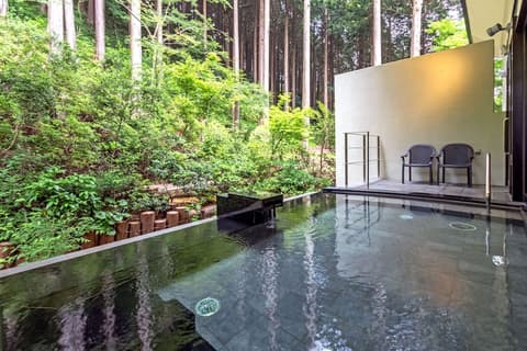 Hotel de Yama, Hakone Lake Side, Hot springs