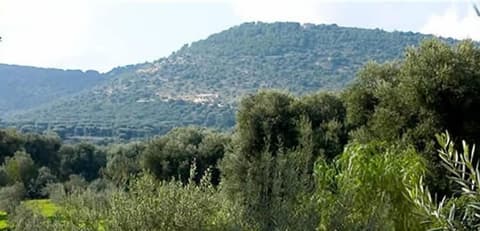 L'antico Trullo, View from property
