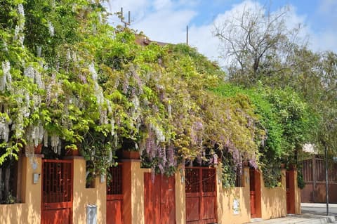 Residenza Le Due Palme, 