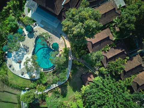 The Damai, Reception