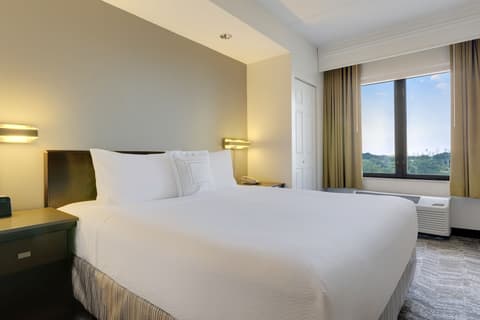SpringHill Suites by Marriott Newark Liberty International, Room