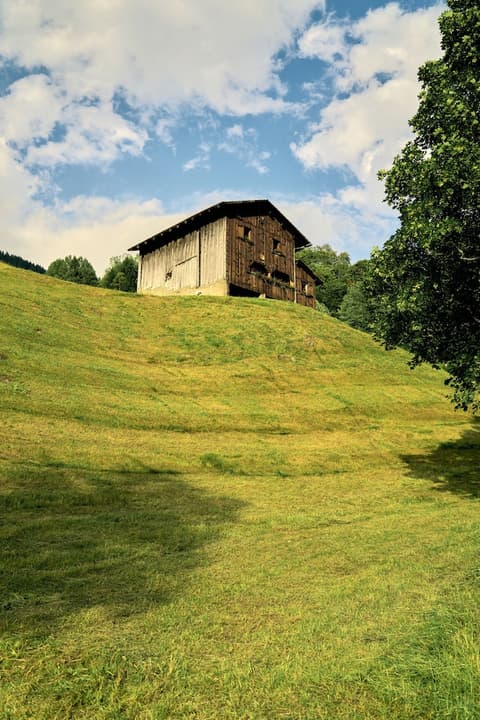 Madrisa Lodge, Land view from property