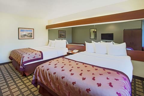 Microtel Inn & Suites by Wyndham Holland, Room