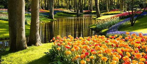 Boutique Hotel Herbergh Amsterdam Airport, Reception