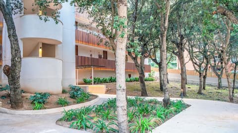 Canyamel Park Hotel & Spa - Adults Only, Room