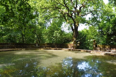 Pousada Mosteiro de Guimarães - Monument Hotel, Garden