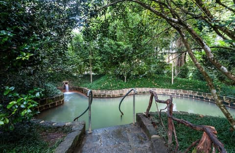 Terra Nostra Garden Hotel, Natural pool