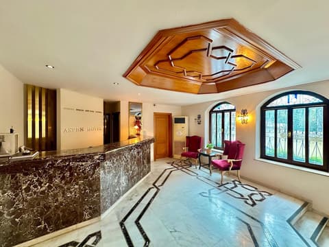 Aspen Hotel - Special Class, Reception