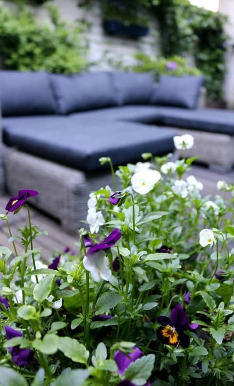 Max Hotel Amsterdam, Property grounds