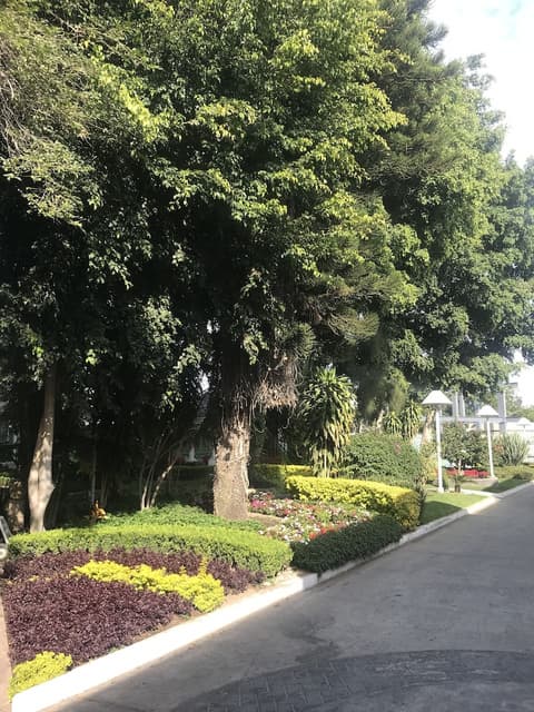 Ronda Minerva, Garden