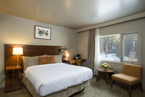 The Juniper Hotel, Room