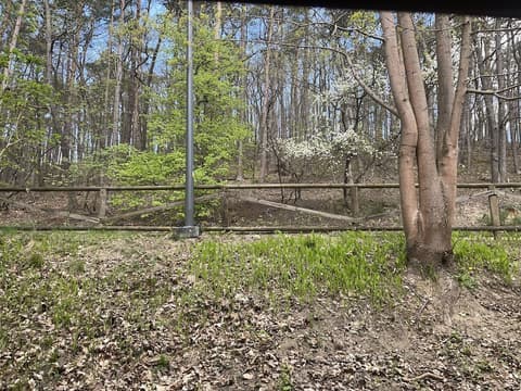 Hotel Opera, View from room