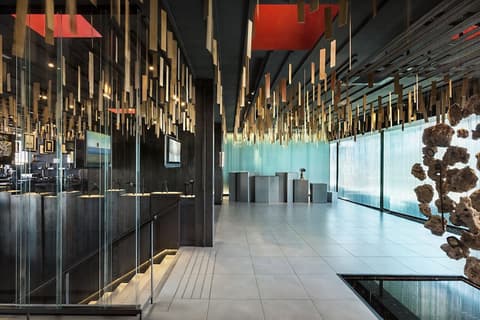 Nautilus Lanzarote, Reception