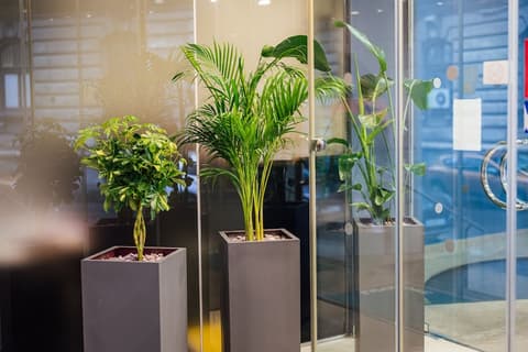 Peakture Hotel Bucharest, Interior entrance