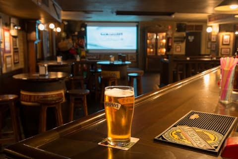 Toboso Apar-Turis, Bar (on property)