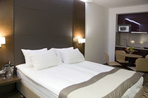 Central Hotel Sofia, Room