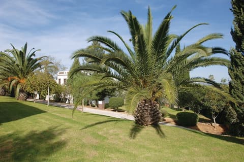 Colina Village, Property grounds