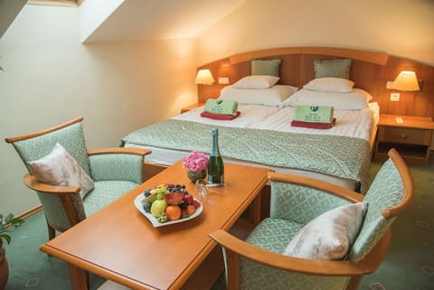 Palace Hotel Heviz, Room