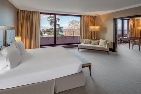 Hilton Evian-les-Bains, Room